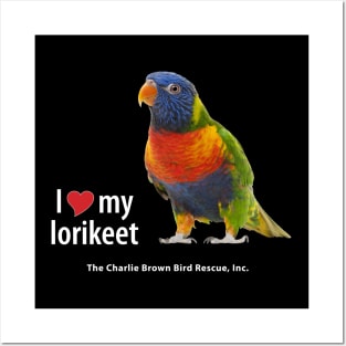 CB Lorikeet 2 Posters and Art